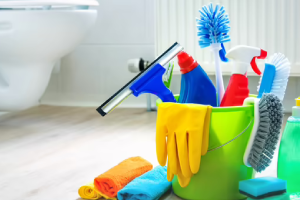 Messie Reinigung Fellbach