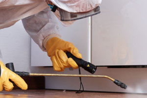 Messie Schädlingsbekämpfung Fellbach